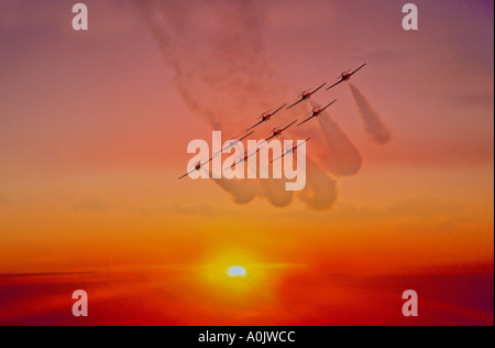 Uccelli di neve 25 Foto Stock