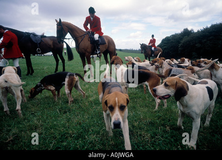 Quantock stag hunt Exmoor SOMERSET REGNO UNITO Devon Somerset Staghounds caccia cervi oltre il National Trust land Foto Stock