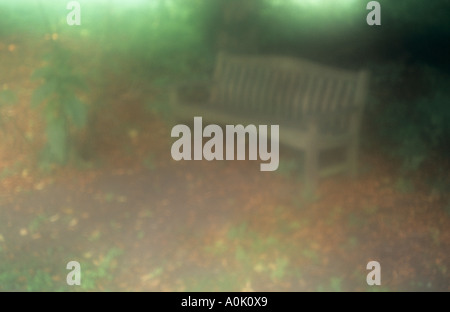 Impressionistica vista di un giardino o di una panchina nel parco in un angolo ombreggiato circondato da piante e alberi caduti e foglie di autunno Foto Stock