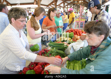 Toledo Ohio, mercato degli agricoltori, contadini, agricoltori', produzione, frutta, verdura, verdure, cibo, prodotti, venditore venditori venditori venditori venditori, bancarelle stand commerciante Foto Stock