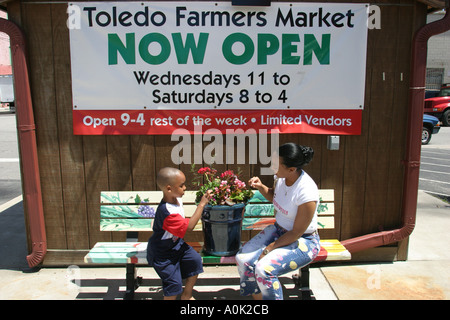 Toledo Ohio, mercato agricolo, contadini, agricoltori', frutta, verdura, verdure, cibo, prodotti, bancarelle stand venditori ambulanti, tradizione, mercato, locale Foto Stock