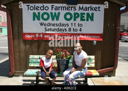 Toledo Ohio,mercato agricolo,frutta,verdura,verdura,cibo,bancarelle stand venditori,tradizione,prodotti coltivati localmente,coltivazione,minoranze nere, Foto Stock