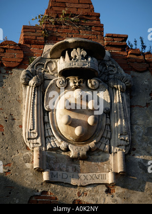 Il de Medici stemma di famiglia su un vecchio magazzino lungo il fiume Arno a Pisa Toscana Italia Foto Stock