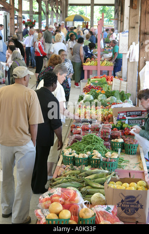 Toledo Ohio, mercato agricolo, frutta, verdura, verdura, cibo, bancarelle stand venditori stand, tradizione, mercato, prodotti locali, coltivazione, produ Foto Stock