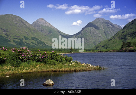 Glen Coe montagne vista da Glen Etive ad ovest della Scozia e rododendri lungo Lochan Urr shore Foto Stock