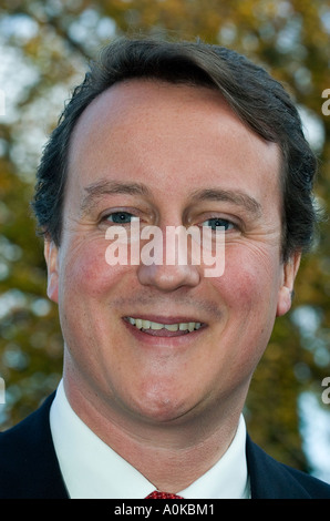Del Partito conservatore del Regno Unito leader del Partito Rt Hon David Cameron MP, membro del Parlamento di Witney Foto Stock