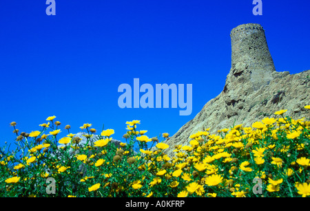 Genovese torre di avvistamento su ille de la pietra. Ile rousse balagne in Corsica, Francia, Europa Foto Stock