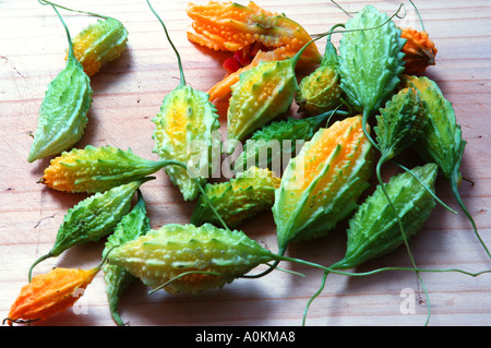 Gruppo mazzetto raccolta di Momordica charantia asiatici gourd Amaro bitter melon dsc 98-25 Foto Stock