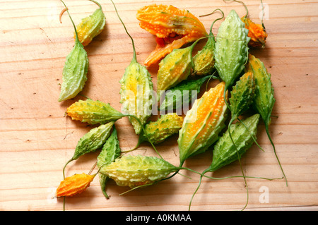 Gruppo mazzetto raccolta di Momordica charantia asiatici gourd Amaro bitter melon dsc 9827 Foto Stock