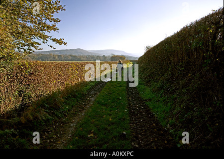 Donna che cammina Offa s Dyke in Galles centrale Foto Stock