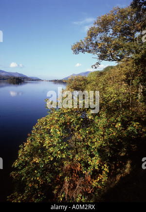 Autunno Guardando sopra Derwent Water nr Keswick una delle migliori viste nel distretto del Lago Foto Stock