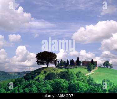 IT - TOSCANA: tipico paesaggio toscano Foto Stock