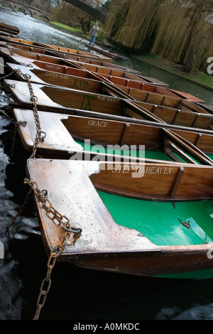 Punting sul fiume Cam in Cambridge Inghilterra England Foto Stock