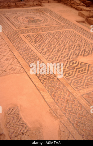 Mosaico romano dei pannelli del pavimento. KOURION CIPRO Foto Stock