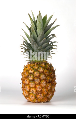 Pine apple mangiare festa esotici cibo gatto tagliare ritagliato sullo sfondo bianco profilo intaglio Foto Stock