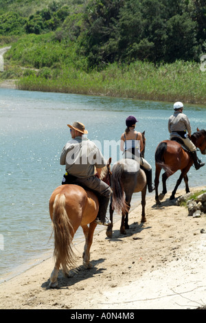 Equitazione a Morgans Bay sulla costa orientale del Sud Africa RSA Provincia del Capo Foto Stock