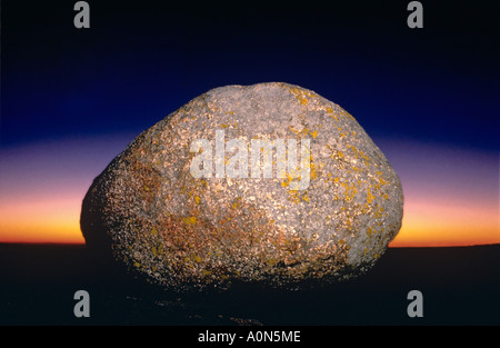 Boulder su Cadillac Mountain nel Parco Nazionale di Acadia all'alba Foto Stock