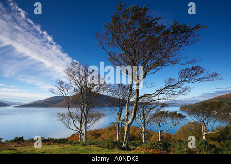 Loch Alsh il suono di Sleat e l'Isola di Skye da Balmacarra nr Kyle of Lochalsh Wester Ross Scotland Regno Unito Foto Stock