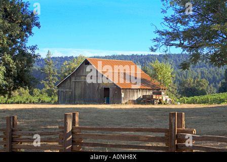 Il vecchio fienile in legno in piedi in campo nei pressi della Valle di Napa California del Nord e Stati Uniti d'America Foto Stock
