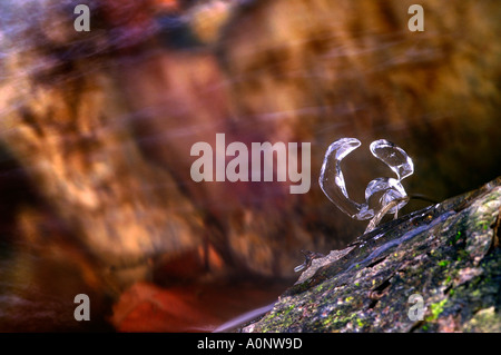 Astrazione acqua gelido abbraccio Foto Stock