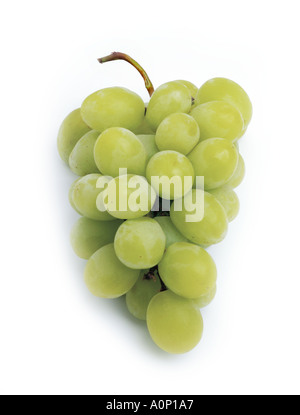 Grappolo di uva verde su bianco Foto Stock