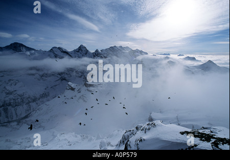 Alpi Svizzere, Inverno. Vista dalla cima di Piz Gloria del Monte Shilthorn nell'Oberland Bernese, Svizzera. Location per James Bond Film su Her Maje Foto Stock