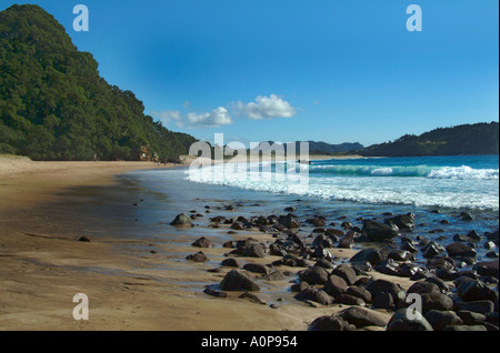 Spiaggia Dell' Acqua calda Mercurio Coromandel Bay Nuova Zelanda Foto Stock