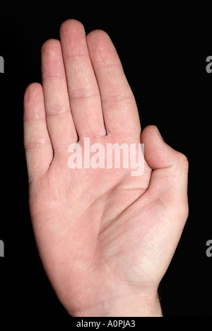 Mano umana maschio Foto Stock