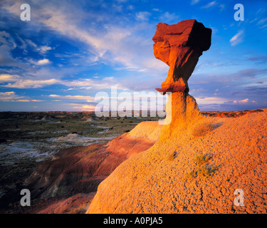 Pinnacle e badlands De Na Zin Wilderness New Mexico Foto Stock