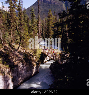 Tokumm Creek precipita attraverso il Marble Canyon in Kootenay Parco Nazionale delle Montagne Rocciose Canadesi in British Columbia Canada Foto Stock
