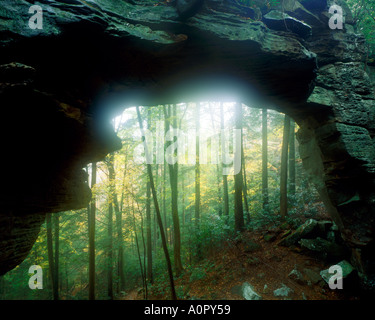 Split Bow arco grande sud Forcella Fiume Nazionale Recreation Area Kentucky Foto Stock