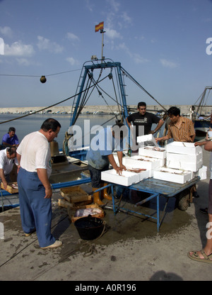 Pescatore di cernita e di imballaggio del pescato, Puerto Deportivo de Fuengirola, Fuengirola Porto, Costa del Sol, Spagna, Europa Foto Stock