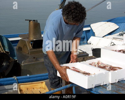 Pescatore di cernita e di imballaggio del pescato, Puerto Deportivo de Fuengirola, Fuengirola Porto, Costa del Sol, Spagna, Europa Foto Stock