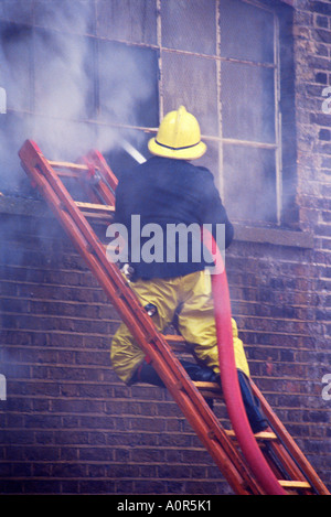 Fire fighter bilanciamento sulla scaletta mentre utilizzando il tubo flessibile di acqua. Foto Stock