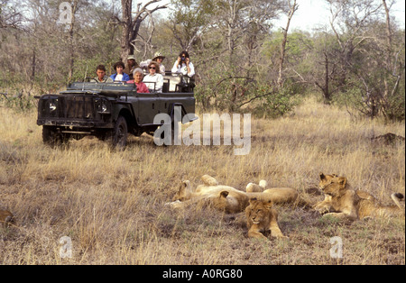 Aprire sormontato Land Rover vicino leoni su Londolozi Game Reserve adiacente al Parco Nazionale Kruger Sud Africa Foto Stock