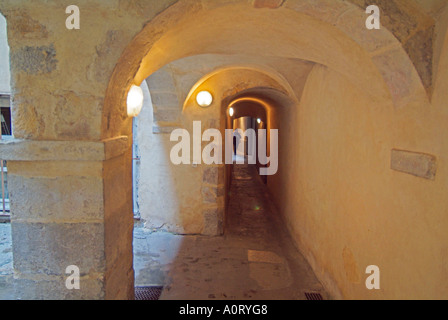 Il vecchio passaggio di collegamento / Lione Foto Stock