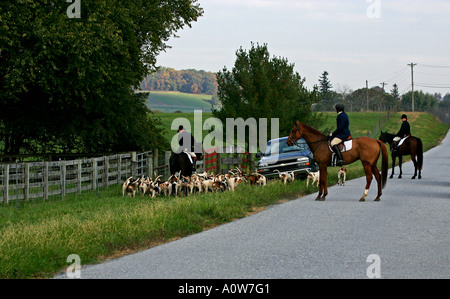 "I Cavalli e segugi' Foto Stock