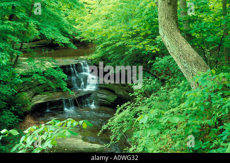 Una cascata in Starved Rock State Park Illinois Foto Stock