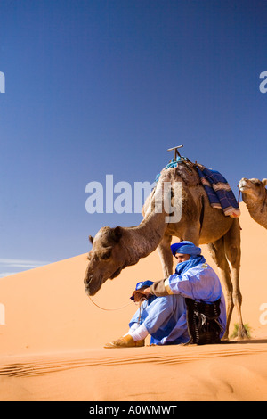 Berber l uomo e cammello in Erg Chebbi dune nel deserto del Sahara in Marocco Foto Stock