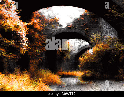 La rinascita in autunno Foto Stock