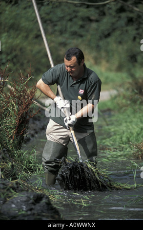 Cancellazione di erbaccia da un laghetto al fine Cotwall natura locale riserva vicino Dudley west Midlands England Foto Stock