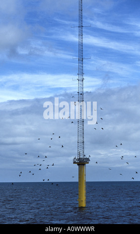 Cormorani sul montante Anamometer a North Hoyle off shore wind farm nel Galles del Nord Foto Stock