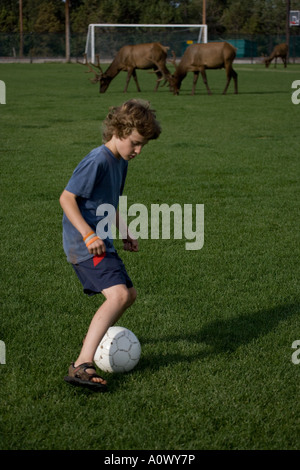 Bambino sul campo di calcio witih elk in background a Parco Nazionale del Grand Canyon Arizona USA Modello rilasciato Foto Stock