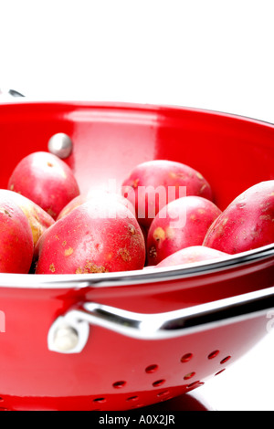 Freschi puliti non cotti patate rosse con n. di persone Foto Stock