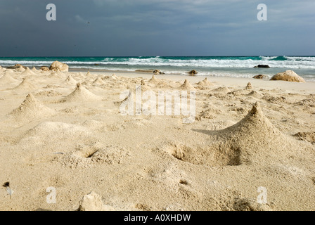 Colline di sabbia costruito dai granchi sulla spiaggia di isola di Socotra, Sito Patrimonio Mondiale dell'UNESCO, Yemen Foto Stock