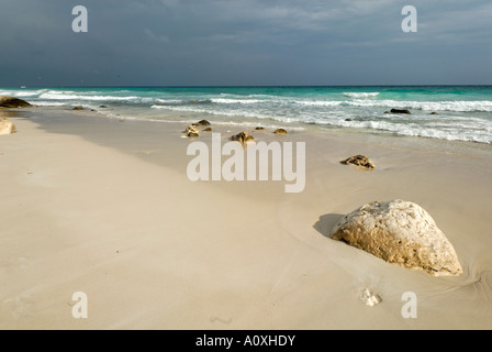 Sulla spiaggia di isola di Socotra, Sito Patrimonio Mondiale dell'UNESCO, Yemen Foto Stock