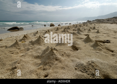 Colline di sabbia costruito dai granchi sulla spiaggia di isola di Socotra, Sito Patrimonio Mondiale dell'UNESCO, Yemen Foto Stock
