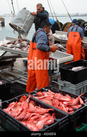 Cattura di scarico sulle banchine a Boston il molo del pesce Foto Stock