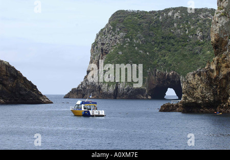 Diving in povero cavaliere isole Foto Stock