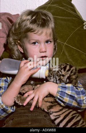 Megan Whittaker di 4 anni con cucciolo di tigre indiano allevato a mano (Panthera tigris tigris). Howletts Zoo Park, Kent, Regno Unito Foto Stock